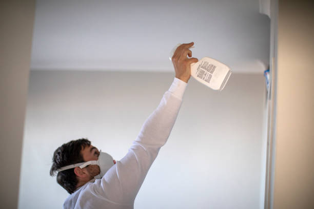 Best Residential Mold Removal  in Newport, SC
