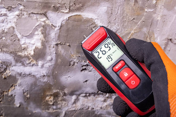Best Emergency Mold Removal  in Newport, SC