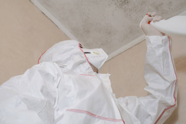Best Attic Mold Removal  in Newport, SC