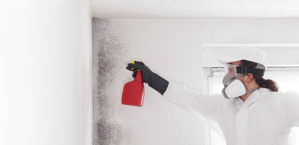 Water Damage Restoration in Newport, SC