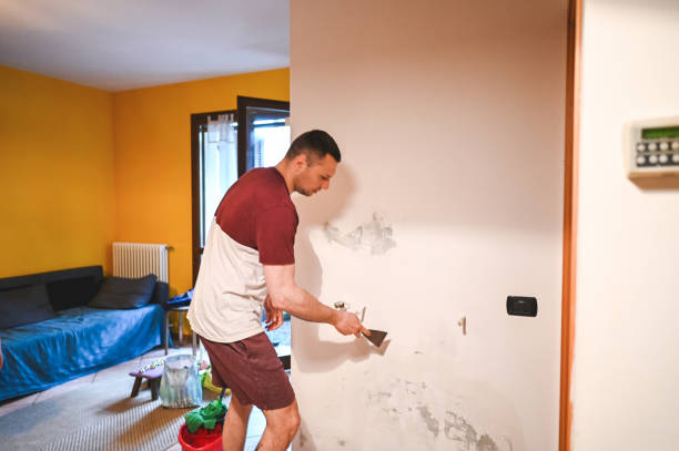 Best Office Mold Removal Services  in Newport, SC